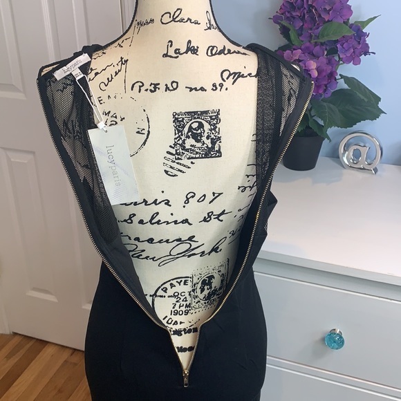 Lucy Paris Bodycon Mesh Dress Medium NWT - Picture 6 of 6